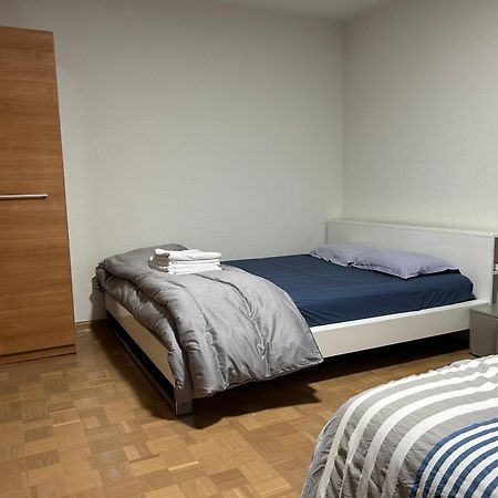 Apartement Saint Louis Train Station- Euroairport- Basel المظهر الخارجي الصورة