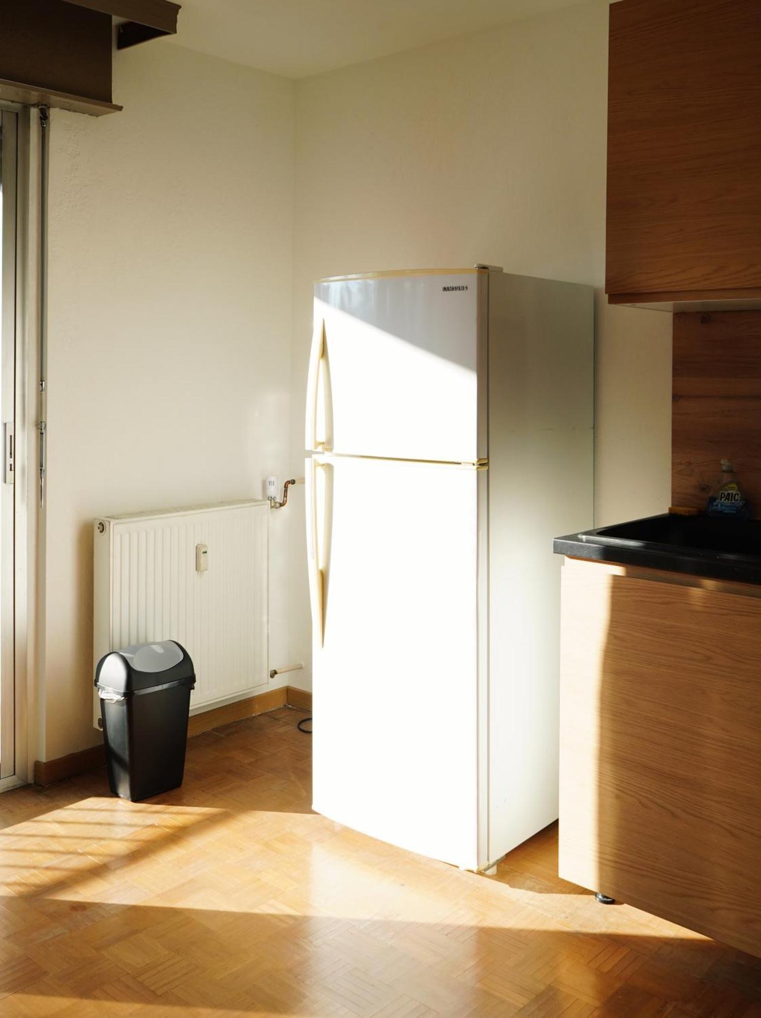 Apartement Saint Louis Train Station- Euroairport- Basel المظهر الخارجي الصورة